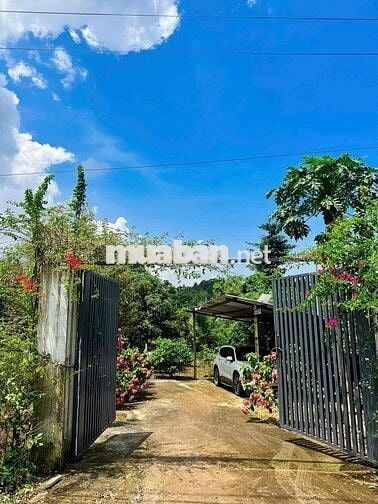 Tìm người làm vườn gia đình