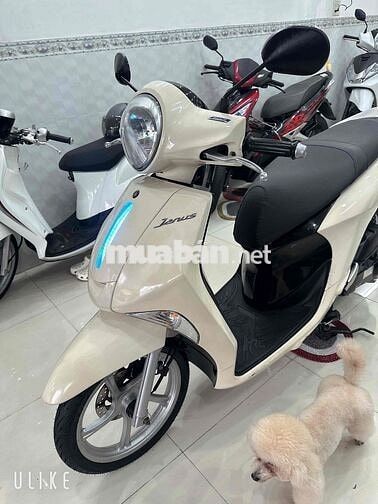 Yamaha Janus Fi ( Đời 2018 ) BS: 65 Cần Thơ