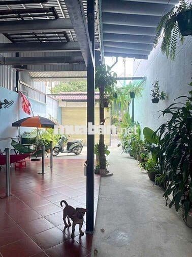 Chỉ 39tr/m2 đường 8m ngay chợ Tân Chánh Hiệp-Tô Ký, 314m2 full thổ cư.