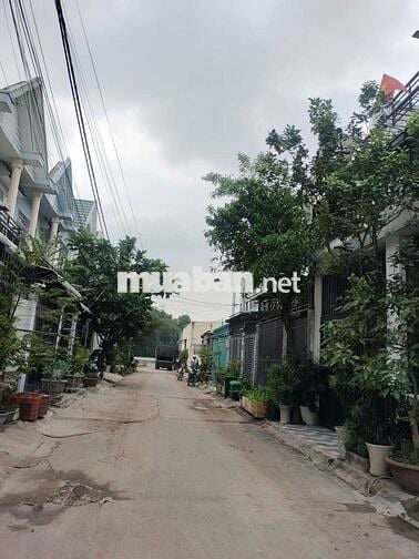 Chính chủ cho thuê kho,đường xuân thới sơn 38, hóc môn