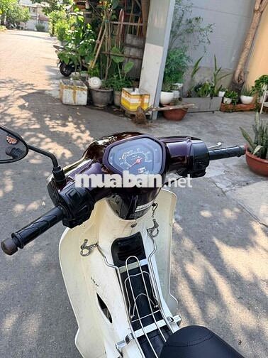 Honda Dream 2014 Nâu trắng