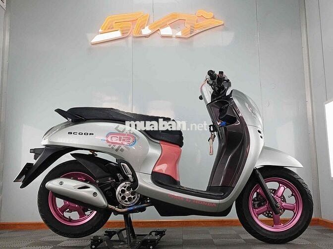 Honda Scoopy Bạc, Hồng