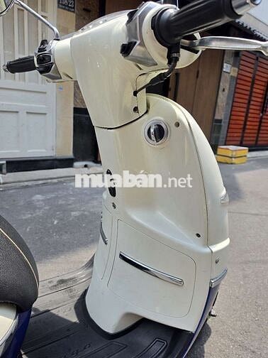 Peugeot Django Trắng xanh