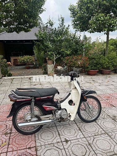 Honda Super Dream 1999 màu nâu