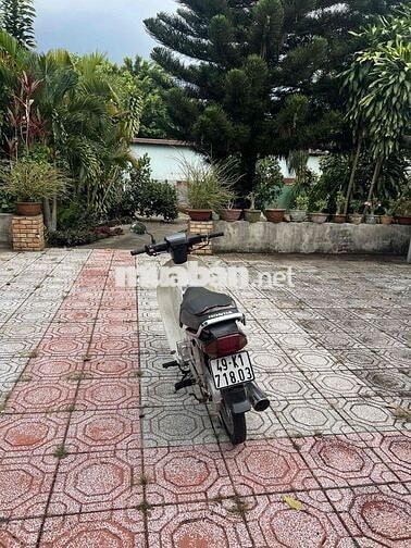 Honda Super Dream 1999 màu nâu
