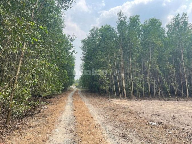 Cần Bán Nhanh Lô Đất Khu Dân Cư Phước An, đường rộng 8m giá rẻ