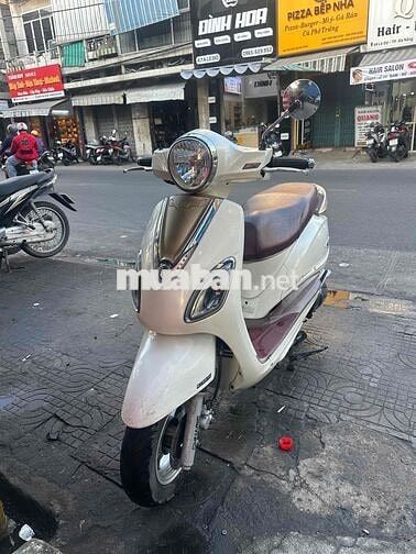 SYM Venus Fi màu Trắng