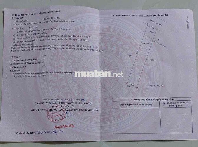 Đất mặt tiền đường DH ngã tư cây số 9. rộng 10mx dài 65m 100m thổ cư