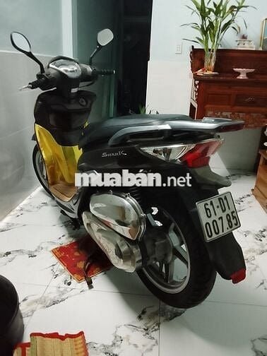 SYM Shark 125 2011 Nâu-Vàng-Xám