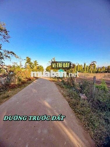 🔥 ĐẤT GIÁ MỀM ĐAKLAK CHỈ 229TR/LÔ – CÓ THỔ CƯ, ĐƯỜNG 5M