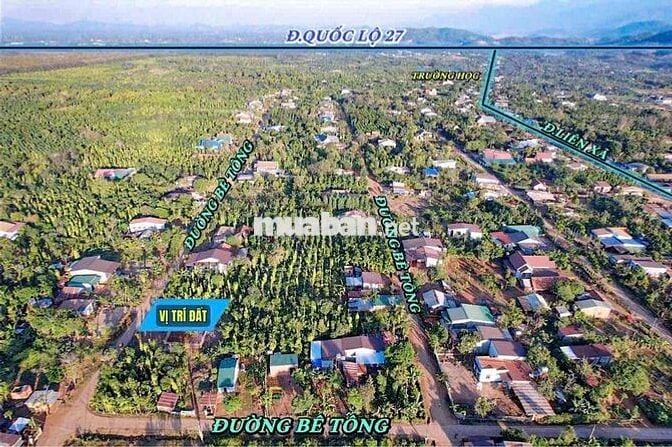 🔥 ĐẤT GIÁ MỀM ĐAKLAK CHỈ 229TR/LÔ – CÓ THỔ CƯ, ĐƯỜNG 5M