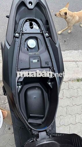 Honda Vario 125 2026 Đen 0km NEW