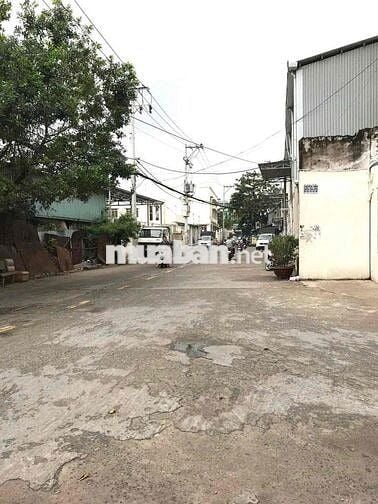 🎁Cho thuê 310/ Dương Quảng Hàm P5 Gò Vấp 4m❌15m 4pn 5wc