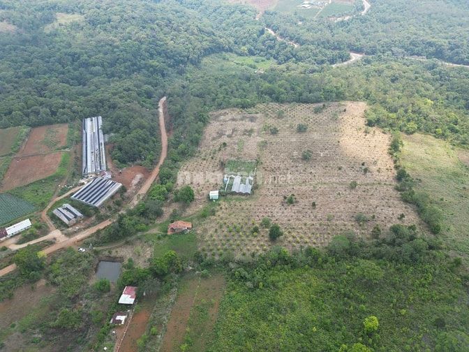 ANH CHỊ SẼ TRẢ GIÁ BAO NHIÊU ĐỂ ĐỔI LẤY 5ha ĐẤT VÀNG NÀY?