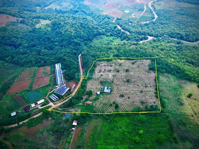 ANH CHỊ SẼ TRẢ GIÁ BAO NHIÊU ĐỂ ĐỔI LẤY 5ha ĐẤT VÀNG NÀY?