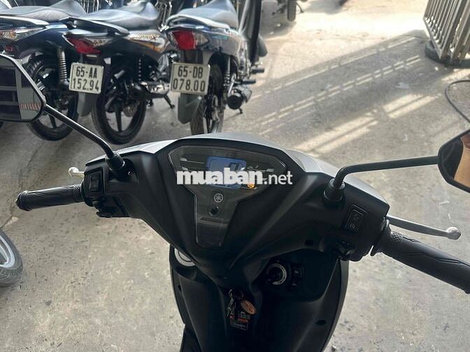 Yamaha Freego 2022 Xám