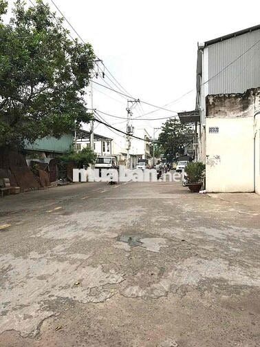 🎁Cho thuê 310/ Dương Quảng Hàm P5 Gò Vấp 4m❌15m 4pn 5wc