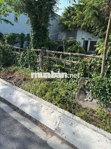 Cho thuê nhà VƯỜN 4tr ( có sẵn sân vườn + cây trái + rộng rãi)