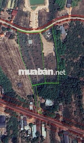 7 sào Đất Đồng Tâm , 900m2 Thổ cư , hơn 80m mặt tiền