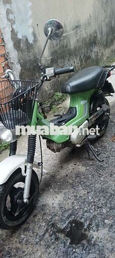 Honda Chaly Xanh lá