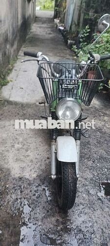 Honda Chaly Xanh lá