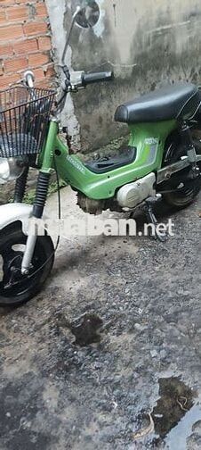 Honda Chaly Xanh lá