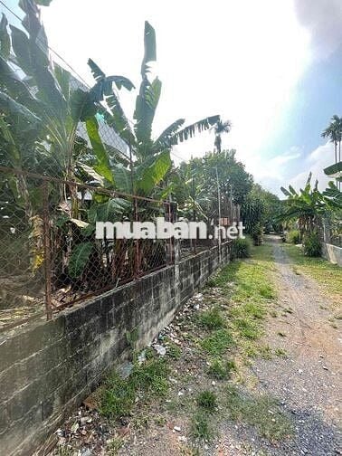 Bán đất Nguyễn Ảnh Thủ, Bà Điểm, 192m2, chỉ nhỉnh 4 Tỷ TL.