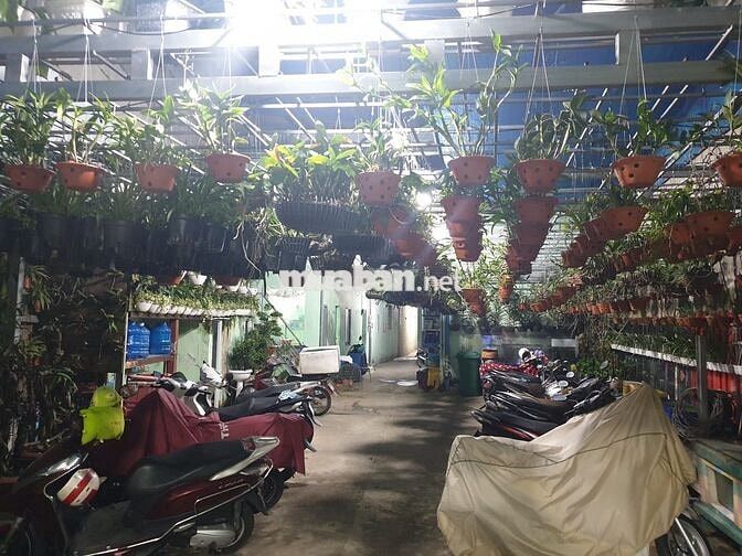 Nhà trọ 15m mặt tiền đường Quang Trung - Gò Vấp