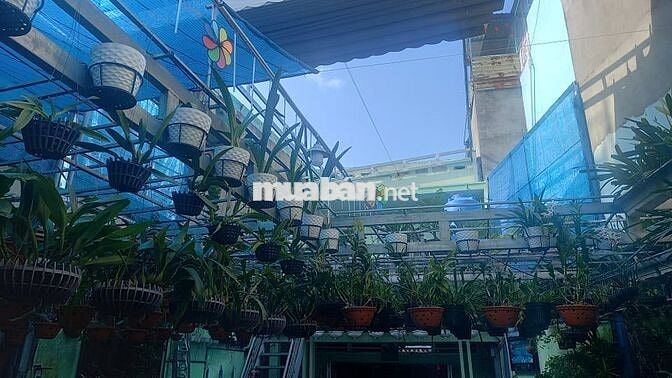 Nhà trọ 15m mặt tiền đường Quang Trung - Gò Vấp
