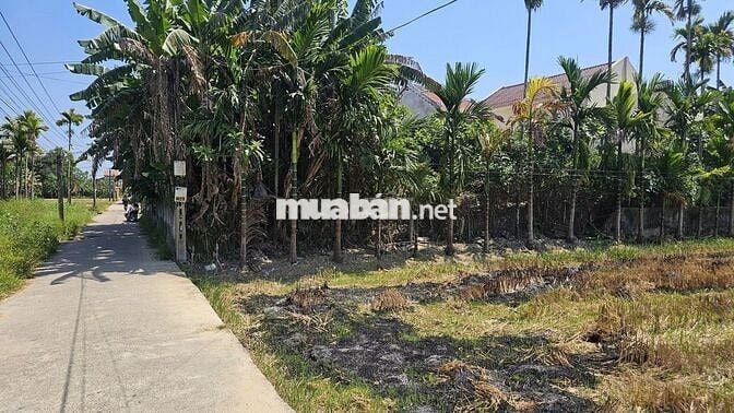 Chính chủ bán lô đất 143,7m2 - khối phố Ngọc Tam, Điện An, Điện Bàn