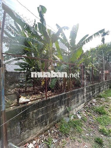 Bán đất Nguyễn Ảnh Thủ, Bà Điểm, 192m2, chỉ nhỉnh 4 Tỷ TL.