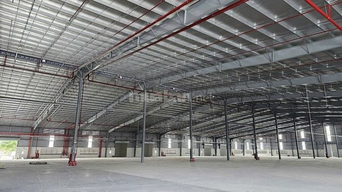 ​🌍 KCN LONG AN: Nhà xưởng tiêu chuẩn Quốc tế – Hỗ trợ trọn gói thủ tụ