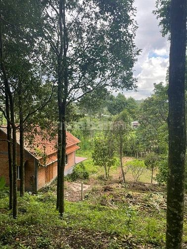 Bán 1500m2 đất phủ hồng Xuân Lập, cách HCM 50 phút di chuyển