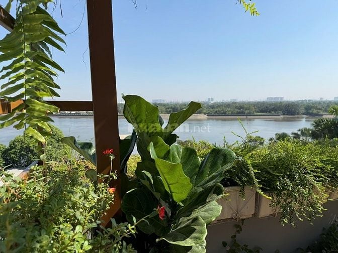 Bán căn hộ dịch vụ 244m2, 118 tỷ, đường số 1, Thảo Điền, Q2, view đẹp,