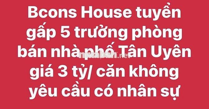 CẦN *** 5 TRƯỞNG PHÒNG CHO DỰ ÁN MỚI