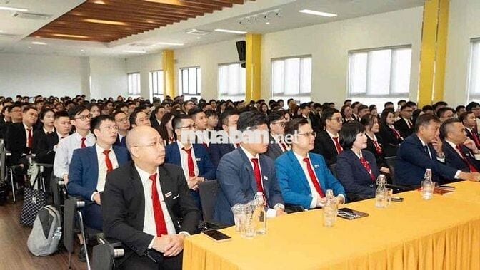 CẦN *** 5 TRƯỞNG PHÒNG CHO DỰ ÁN MỚI