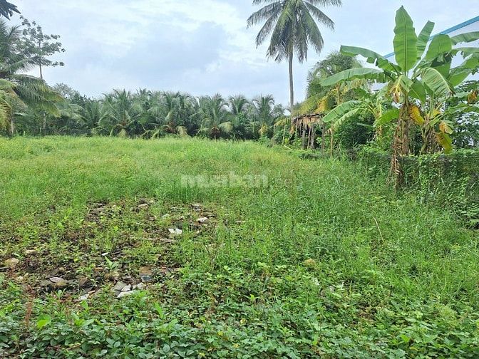 Đất Phường Đạo Thạnh, gần QL50 Cống Bảo Định, Giá mềm/142m2 Thổ Cư