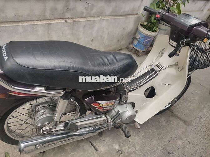 Honda Dream 2009 màu Nâu