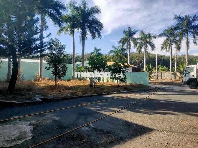 ĐẠI HẠ GIÁ NHÀ XƯỞNG SIÊU ĐẸP BÀU BÀNG – GIẢM TỪ 75 TỶ CÒN 40 TỶ