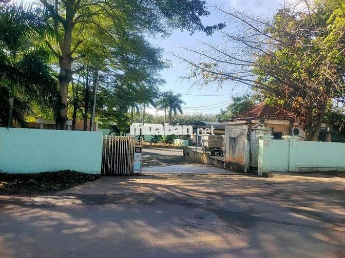 ĐẠI HẠ GIÁ NHÀ XƯỞNG SIÊU ĐẸP BÀU BÀNG – GIẢM TỪ 75 TỶ CÒN 40 TỶ