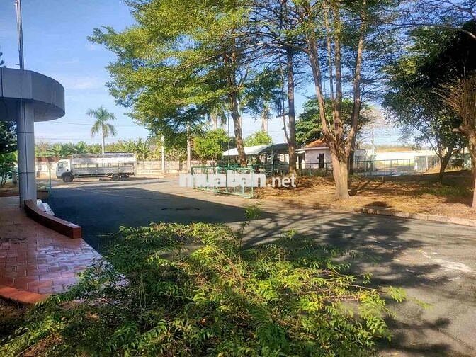 ĐẠI HẠ GIÁ NHÀ XƯỞNG SIÊU ĐẸP BÀU BÀNG – GIẢM TỪ 75 TỶ CÒN 40 TỶ