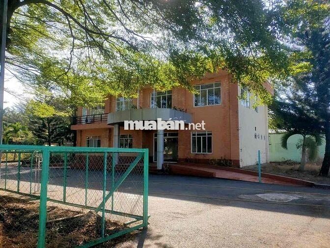 ĐẠI HẠ GIÁ NHÀ XƯỞNG SIÊU ĐẸP BÀU BÀNG – GIẢM TỪ 75 TỶ CÒN 40 TỶ