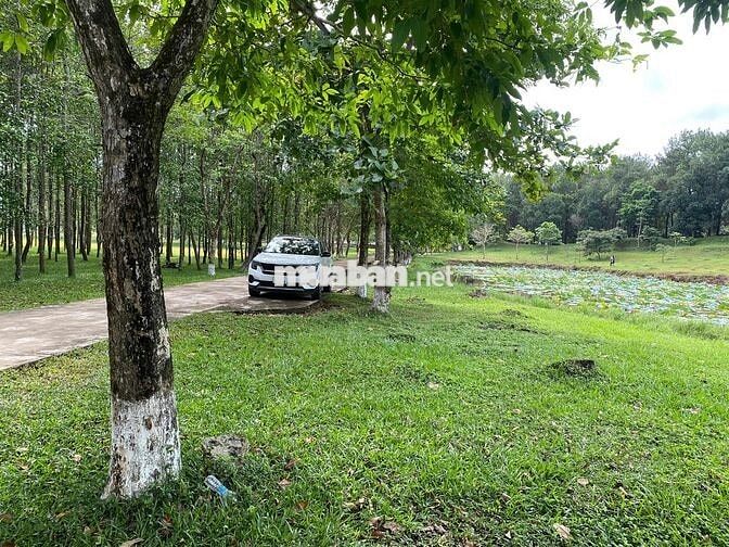 Bán vài lô view lúa 🌾🌾 gần hồ, Thuỷ Xuân Tp Huế, 150-400m2💥