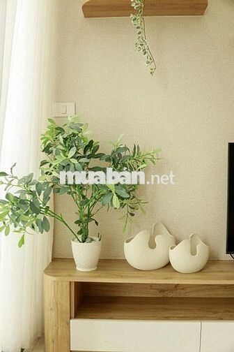 CHUYỂN NHƯỢNG CĂN HỘ NERA GARDEN 2 PHÒNG NGỦ - CĂN GÓC NERA GARDEN 1