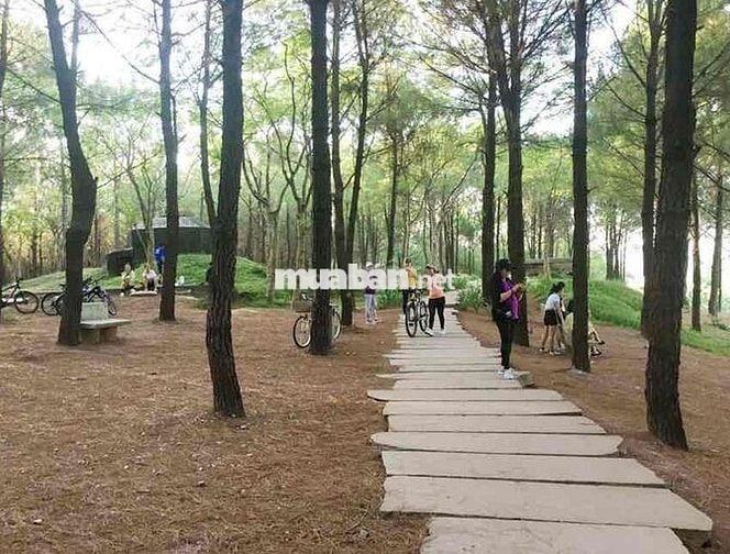 Đất Lê Ngô Cát ô tô giá chỉ nhỉnh 10tr/m2💥500m2 ( giá nhỉnh 5 tỷ)