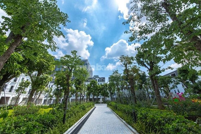 SHOPHOUSE NGUYỄN CHÁNH - NAM TRUNG YÊN 114m - DÒNG TIỀN ỔN ĐỊNH 1 Tỷ/n