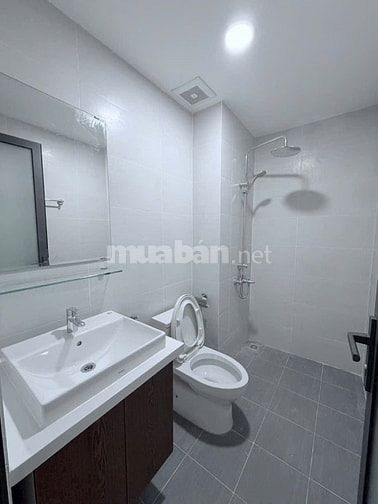 Cho thuê 2 căn hộ Aurora 277 Bến Bình Đông Q.8 - 50m2 80m2 chỉ 8tr
