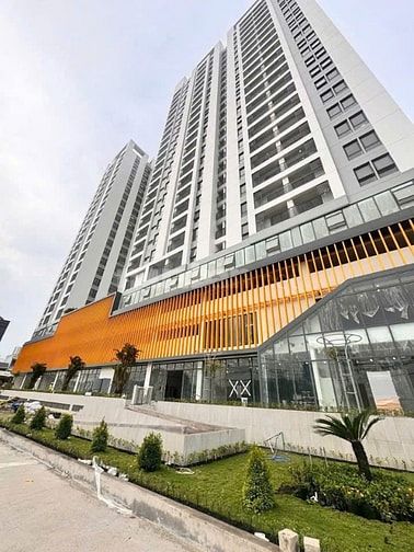 Cho thuê 2 căn hộ Aurora 277 Bến Bình Đông Q.8 - 50m2 80m2 chỉ 8tr