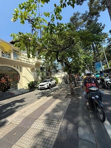 Cho thuê số 167A Nam Kỳ Khởi Nghĩa, Phường Võ Thị Sáu, Quận 3, Hồ Chí 