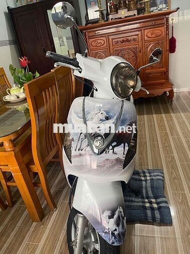 Cần tiền nên bán gấp